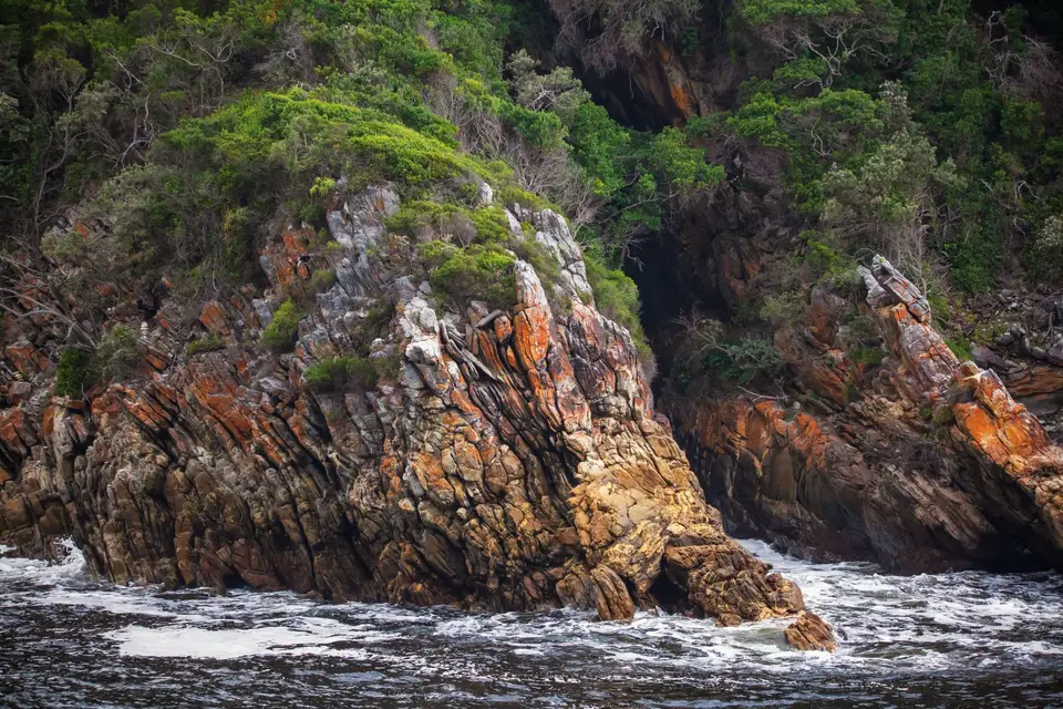 Südafrika_TsitsikamaNP_051.jpg