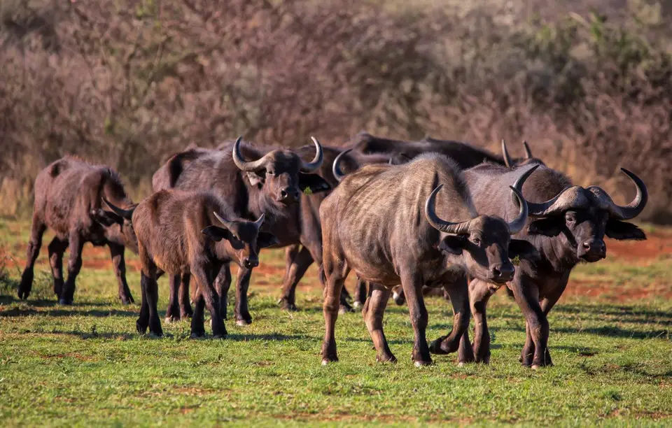 Südafrika_Vryburg_Morakane_08.jpg