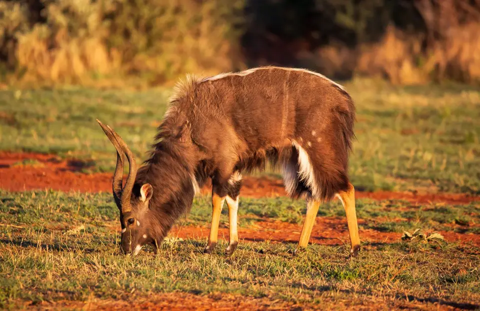 Südafrika_Vryburg_Morakane_12.jpg
