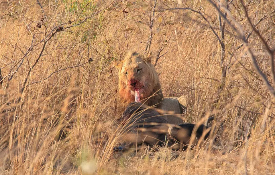 Südafrika_Waterberg_EntabeniLodge_018.jpg