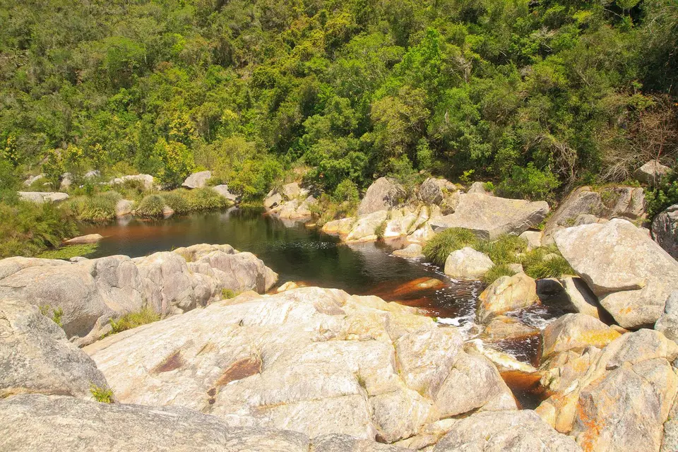 Südafrika_WildernesNP_010.jpg