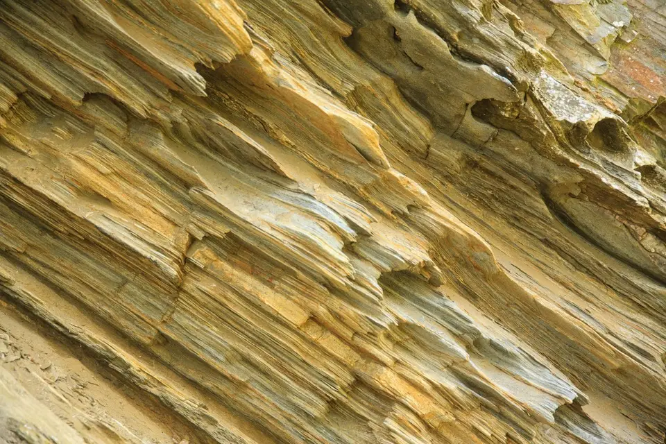 Südafrika_WildernesNP_012.jpg