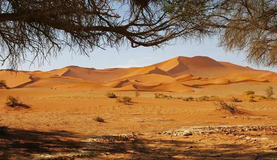 16ff-043.jpg