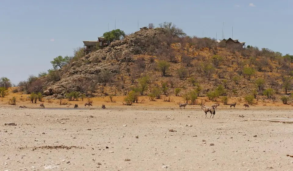Nam21-Etosha-39.jpg