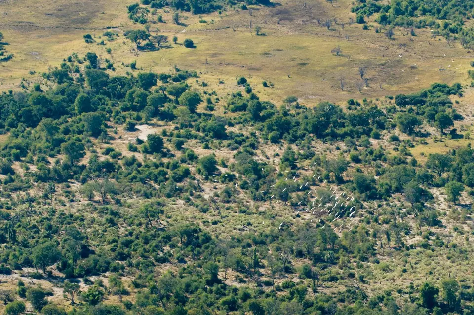 Botsuana_1022.jpg
