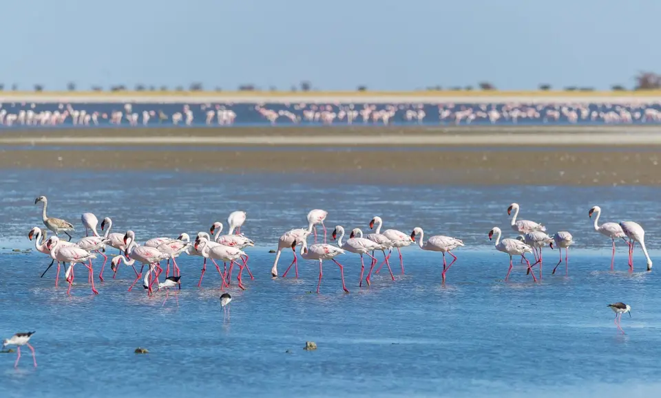 Botsuana_2189.jpg