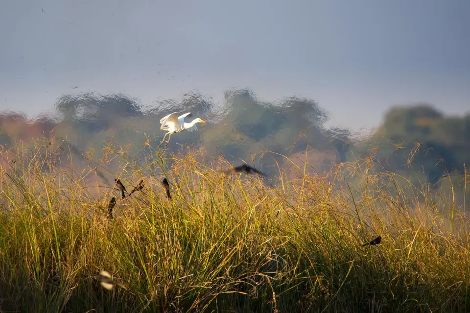 Botsuana_3047.jpg
