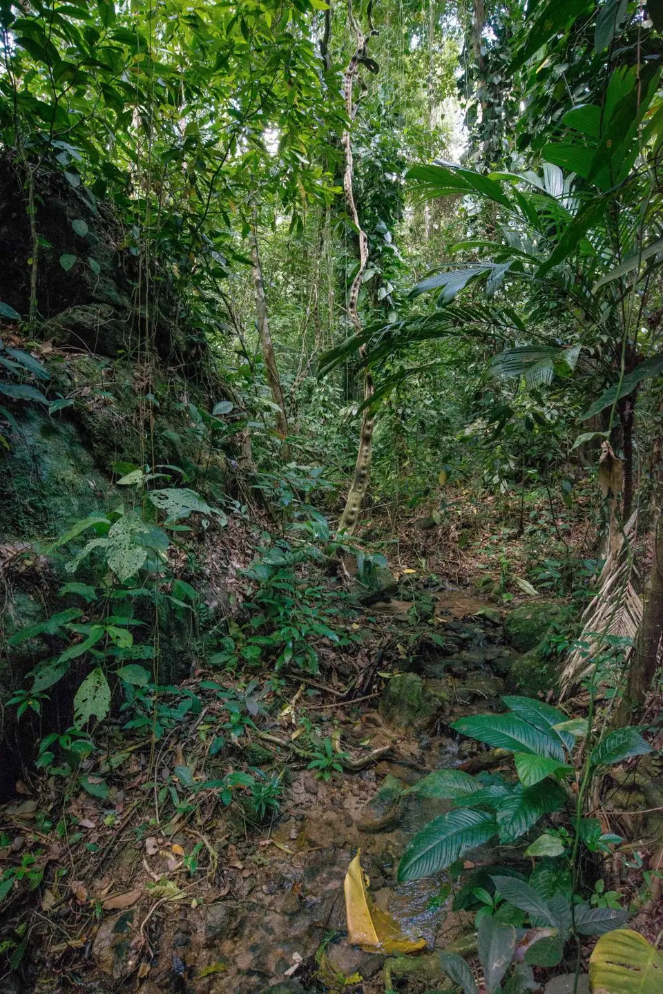 Honduras1999.JPG