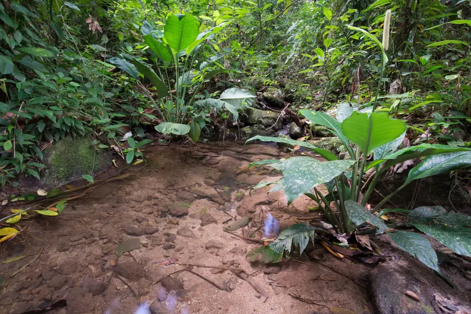 Honduras2008.JPG