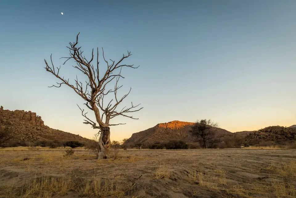 Namibia_Etosha_1088.jpg