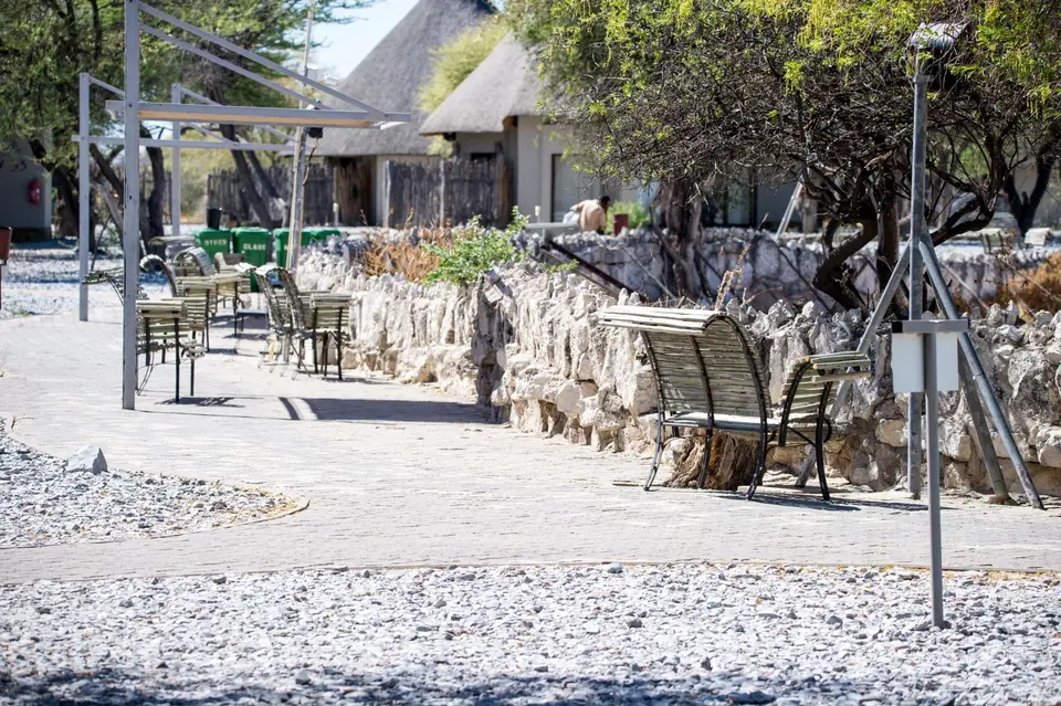 Namibia_Etosha_1745.jpg