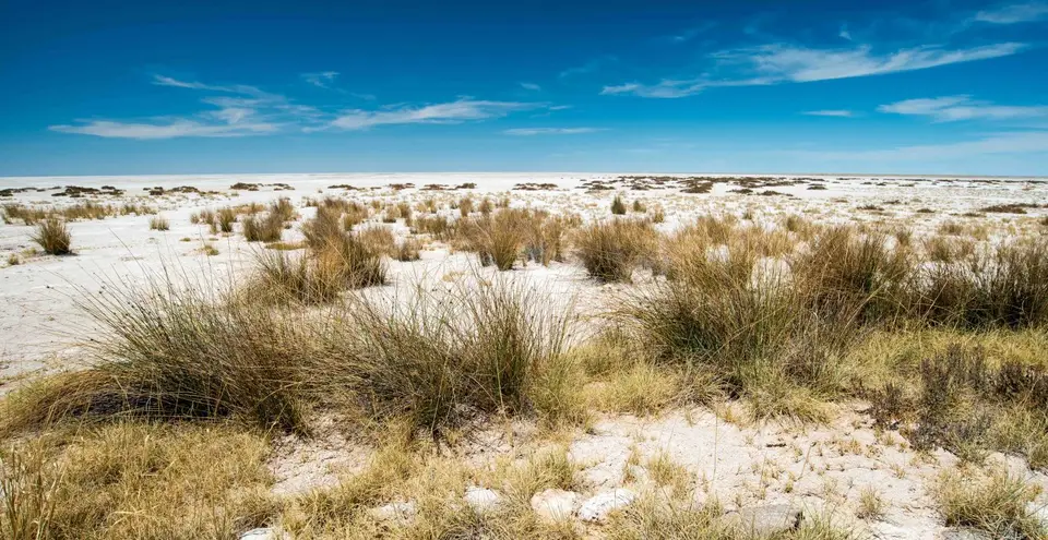 Namibia_Etosha_1907.jpg