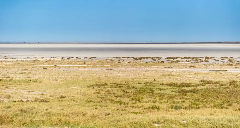 Namibia_Etosha_2102.jpg