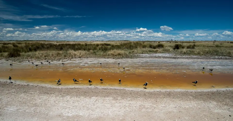 Namibia_Etosha_2326.jpg