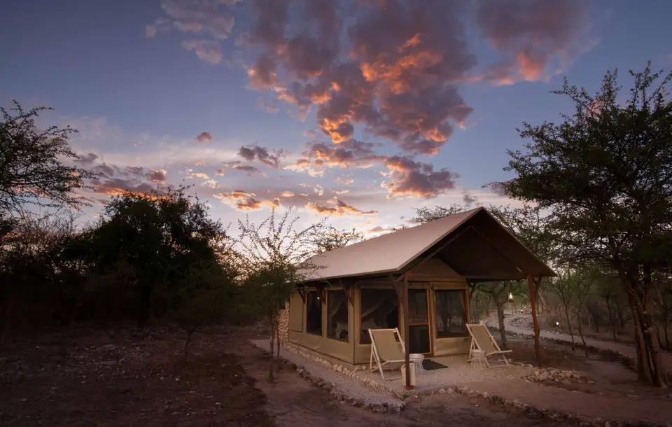 Namibia_Etosha_2691.jpg