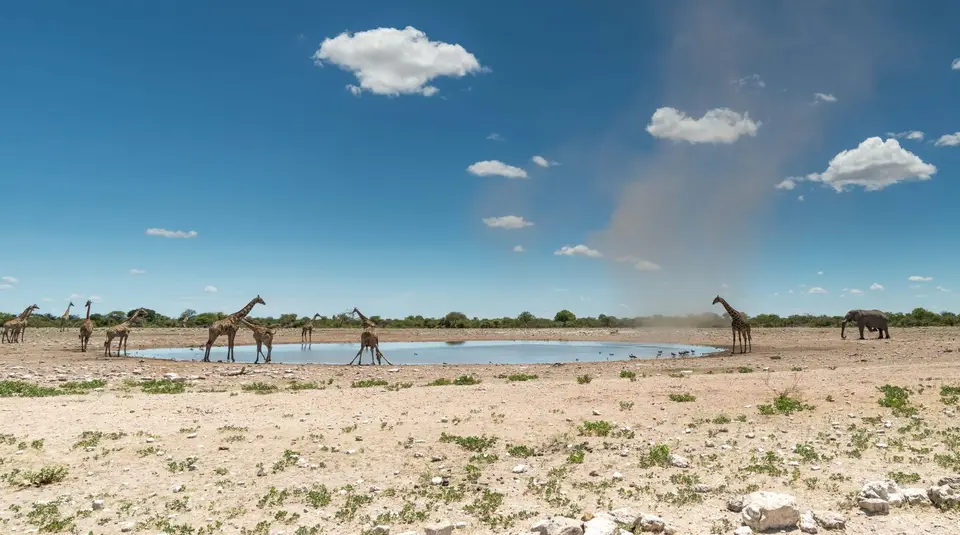Namibia_Etosha_3266.jpg