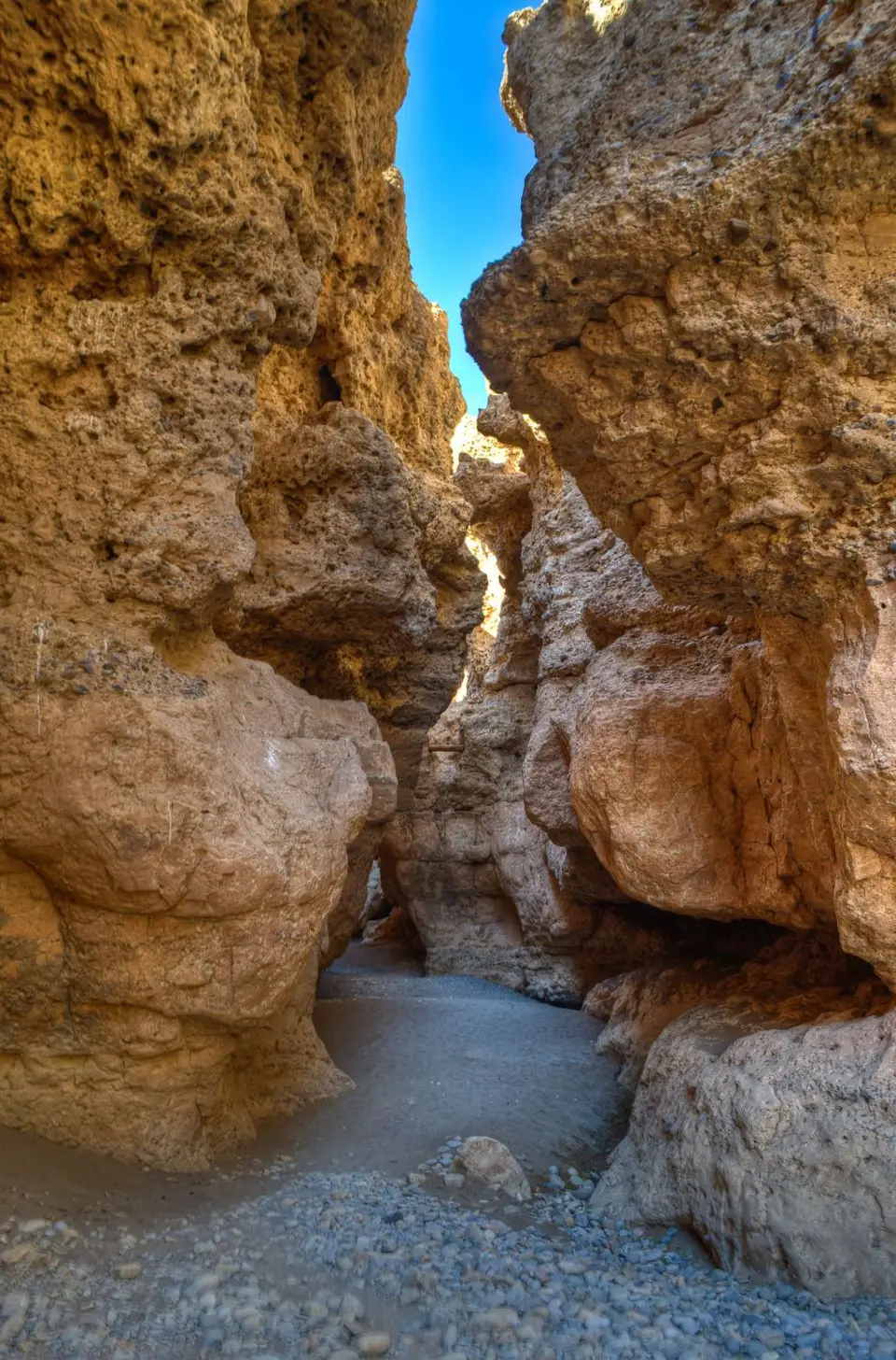 _DSC1082.jpg