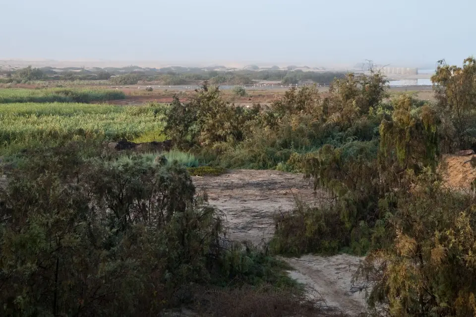 _DSC1144.jpg