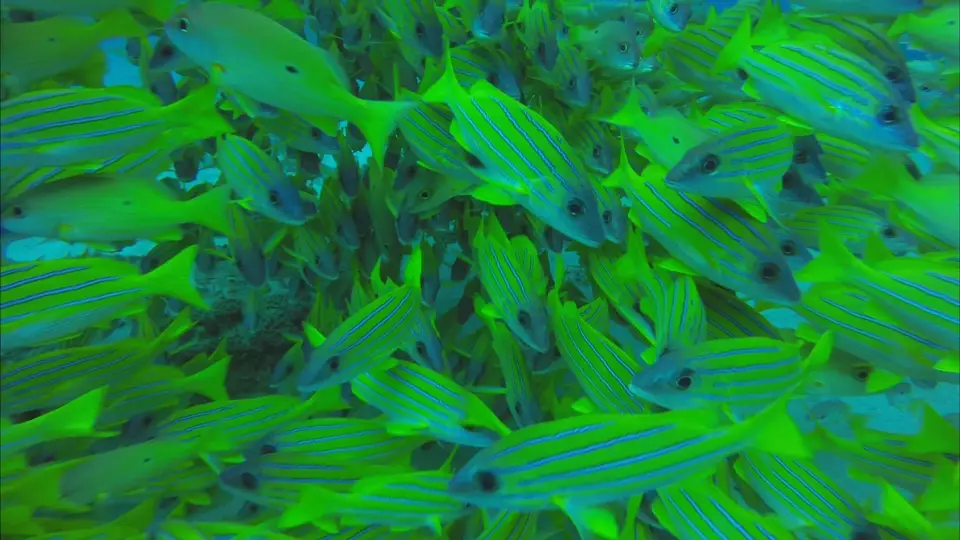 Test1_1.10.4.jpg