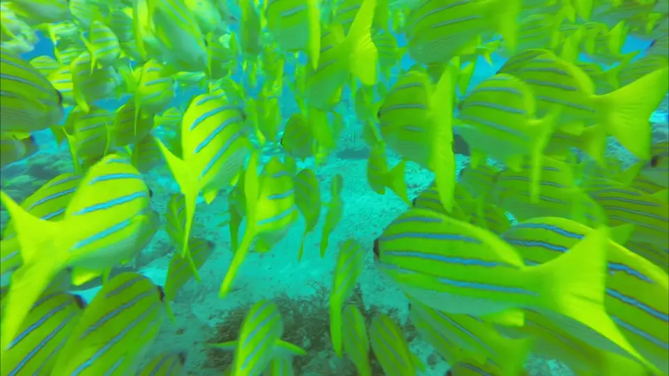 Test1_1.11.1.jpg