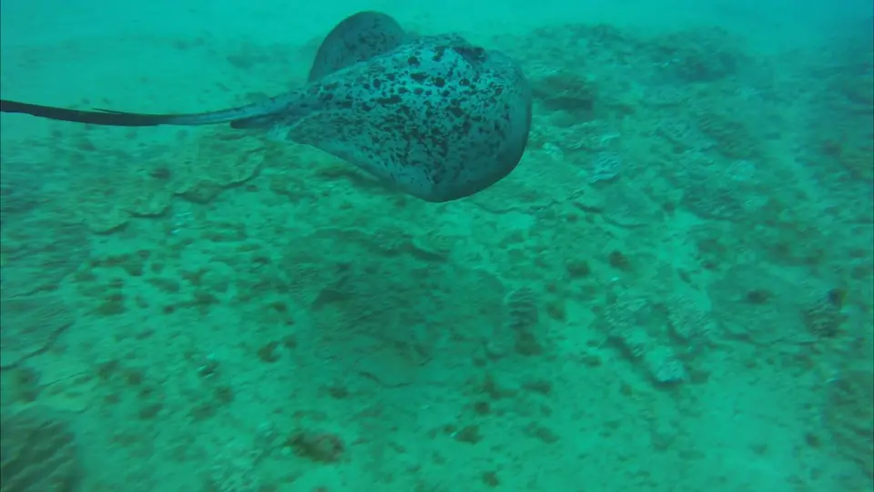 Test1_1.13.1.jpg