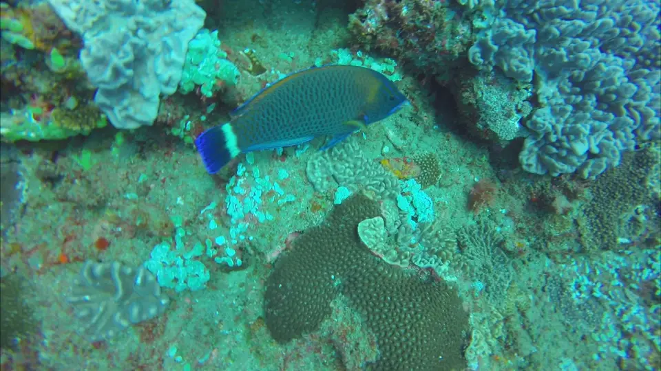 Test1_1.25.1.jpg