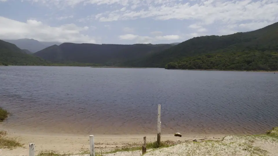 _1140257(1).jpg