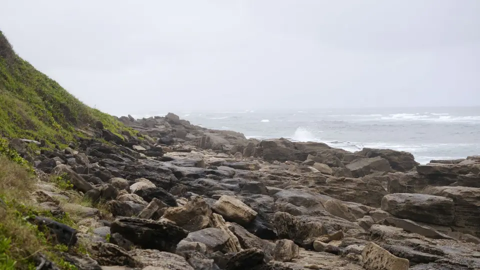 _1140958.jpg