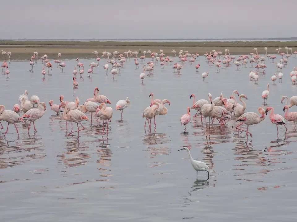 k-Namibia2019(148).jpg