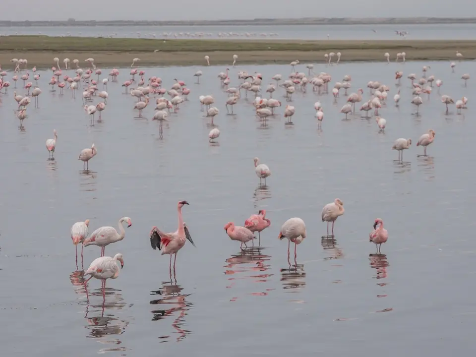 k-Namibia2019(149).jpg