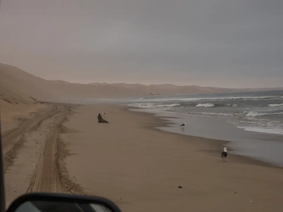 k-Namibia2019(155).jpg