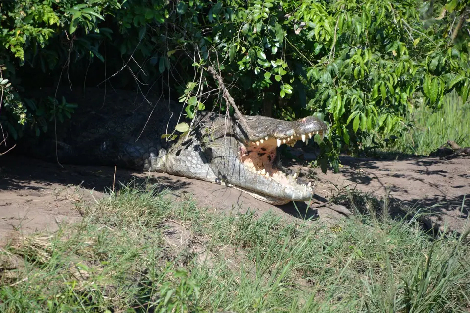 DSC_2173.JPG