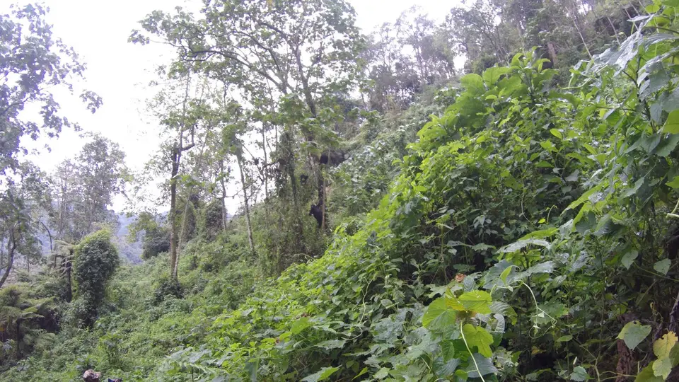 G0111270.JPG