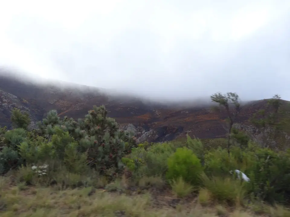 DSC07184.JPG