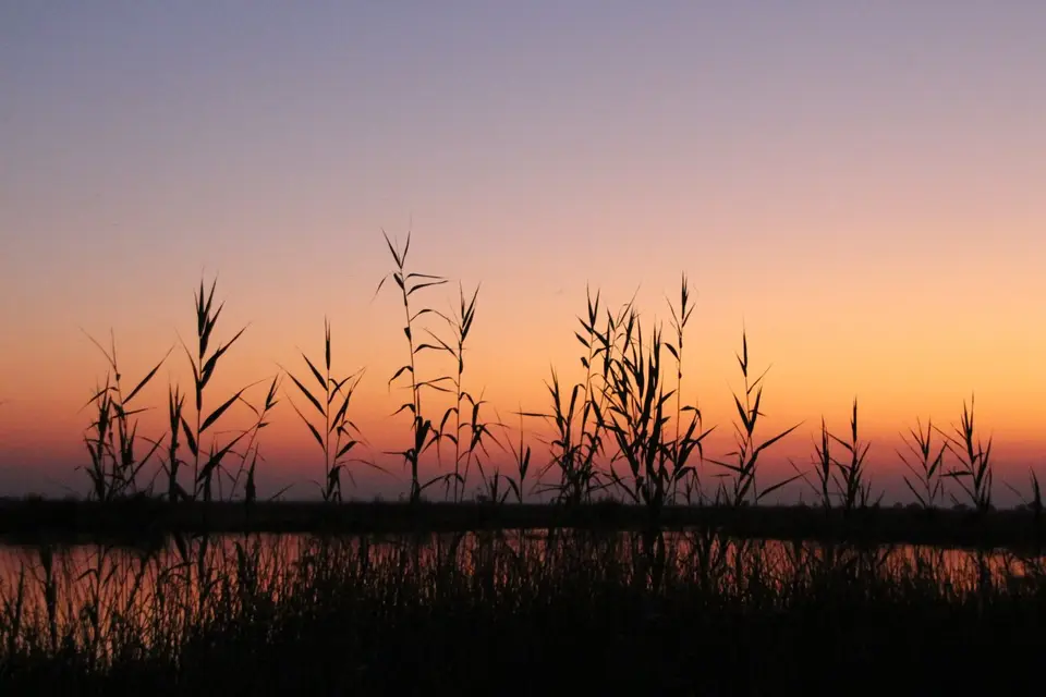 IMG_7383.JPG