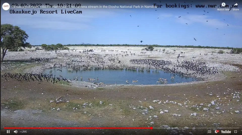 Waterhole.jpg