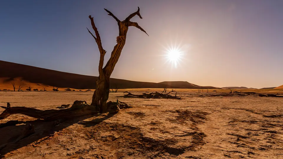 Deadvlei-1.jpg