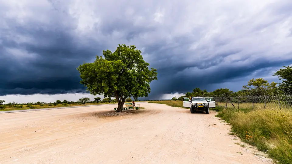 Etosha-1.jpg
