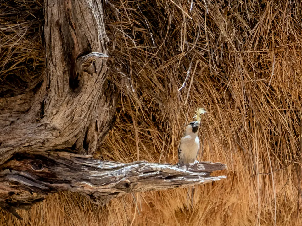 _NAM5545-Bearbeitet.JPG