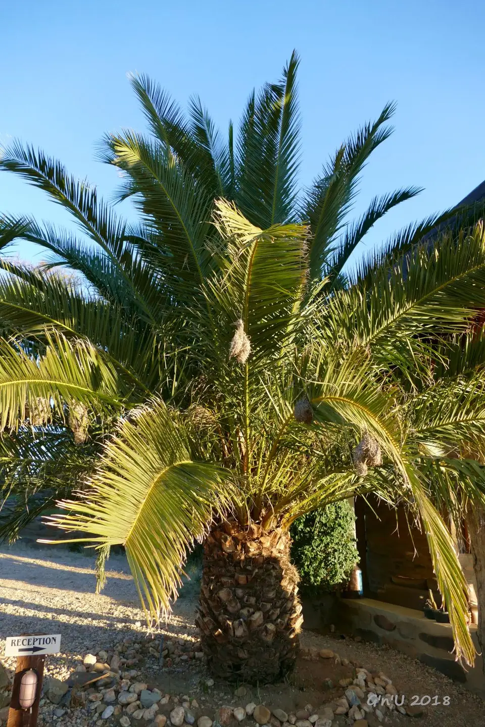27-P1140056.JPG