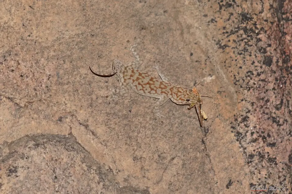 DSC09799.JPG