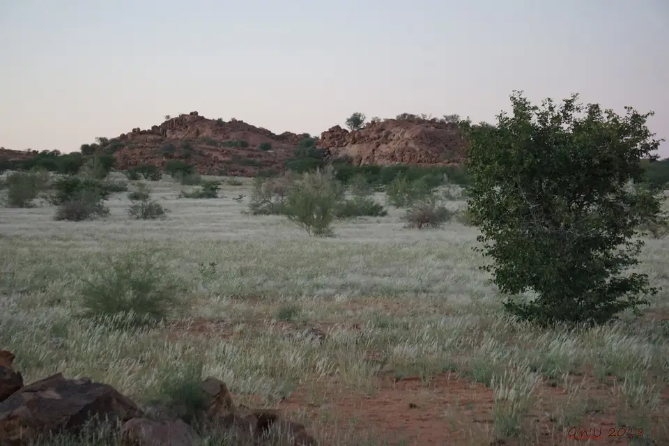 DSC09802.JPG