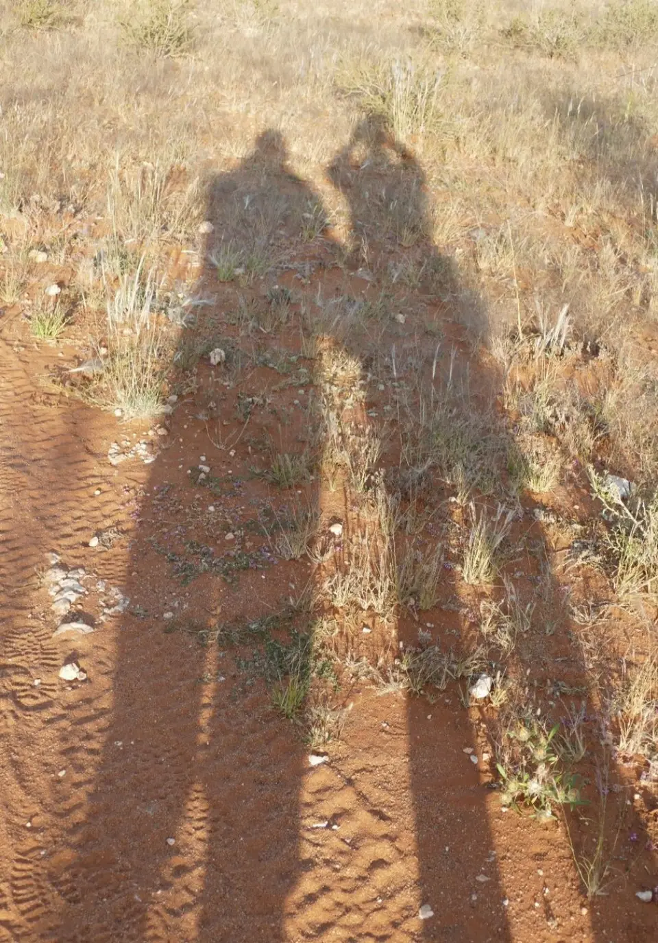 P1010134.JPG