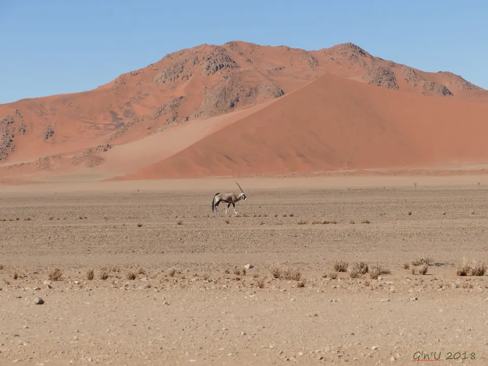 P1020268.JPG