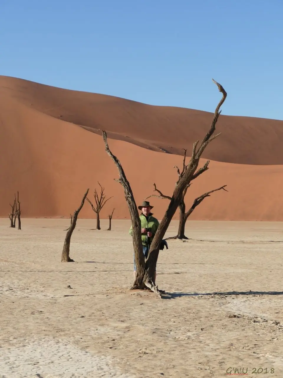 deadvlei-g.JPG