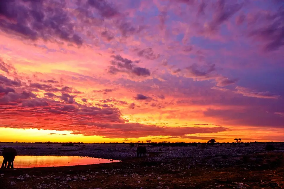 DSCF2669-2.jpg