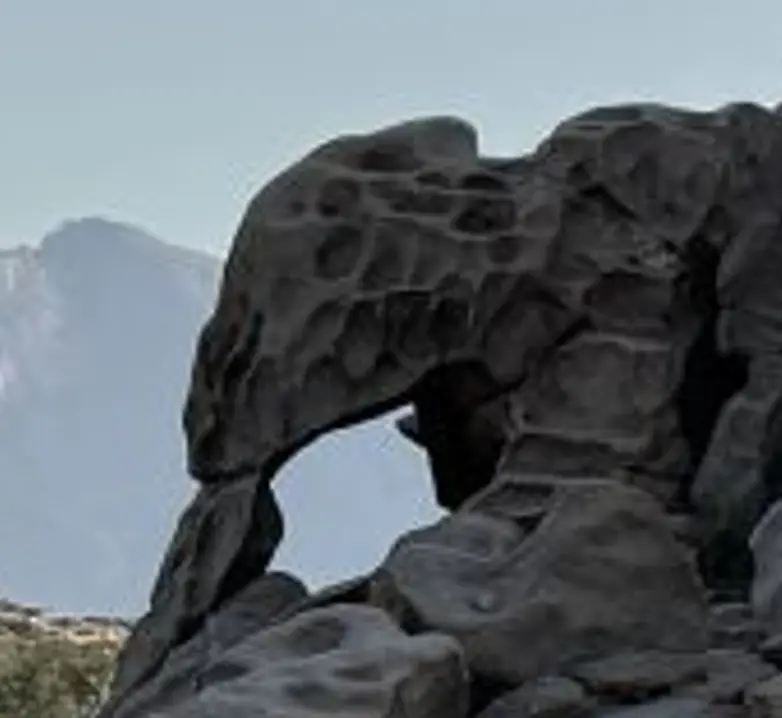 elephant-head.png