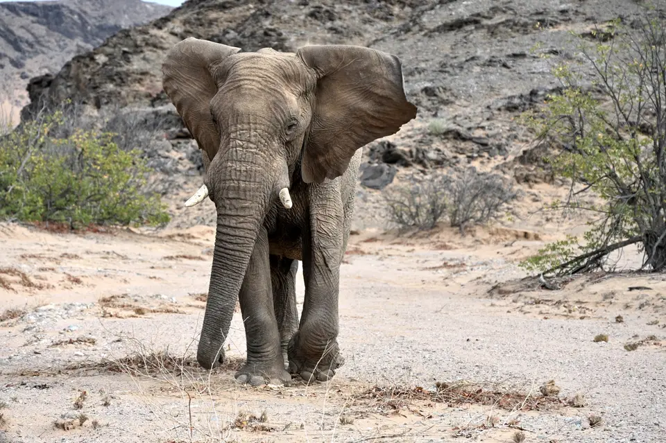 0144.JPG