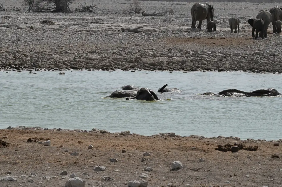 0478.JPG