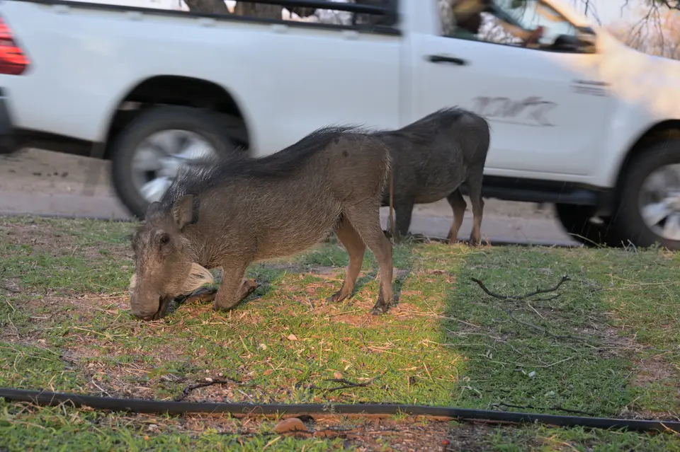 DSC_4944_570.JPG
